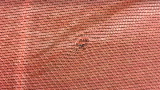 How to Fix Snags in Your Tent's Mesh
